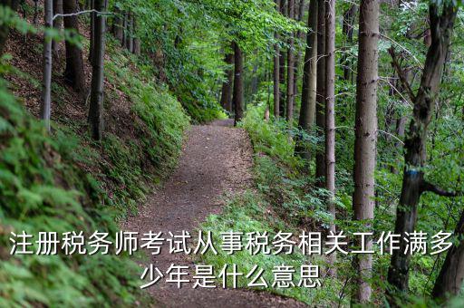 稅務從業人數是什么意思，請問稅務自查表中的查 數是什么意思急