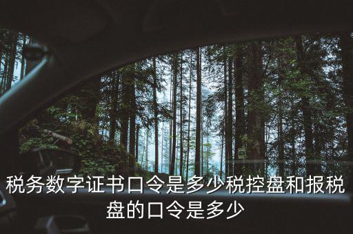國稅證書口令是什么，我想問下國家稅務網上申報點擊安全登錄時出現的用戶口令是什么