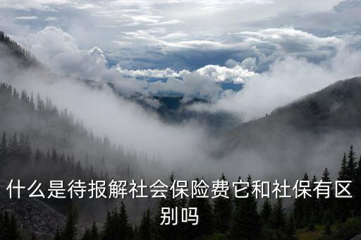 什么是待報解社會保險費它和社保有區別嗎