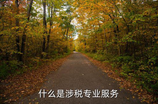 什么是涉稅專業服務