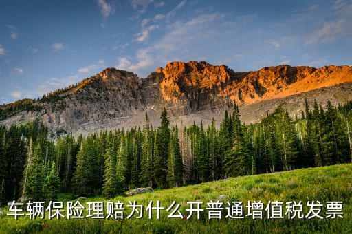 車輛保險理賠為什么開普通增值稅發票