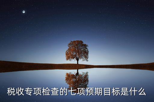 什么是稅收專項調查，稅收專項檢查的七項預期目標是什么