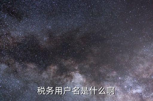 稅務用戶名是什么啊