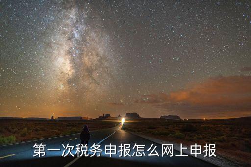 第一次稅務申報怎么網上申報