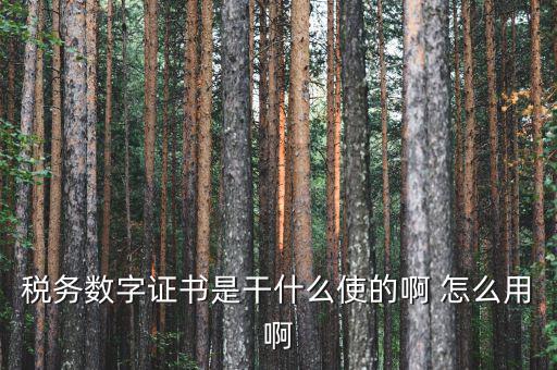 稅務數字證書是干什么使的啊 怎么用啊