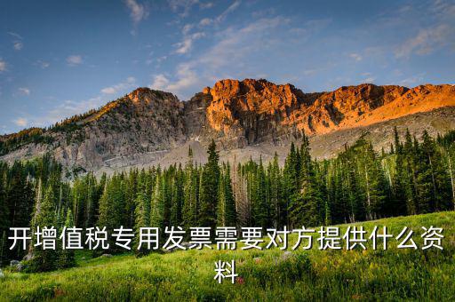 開增值稅專用票需要對方提供什么資料，銷售方開具增值稅專用發票需要對方提供什么資料