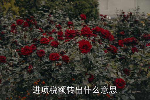 進項稅額轉出什么意思