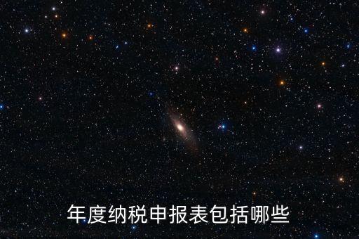 什么是年度納稅申報表，年度納稅申報表包括哪些