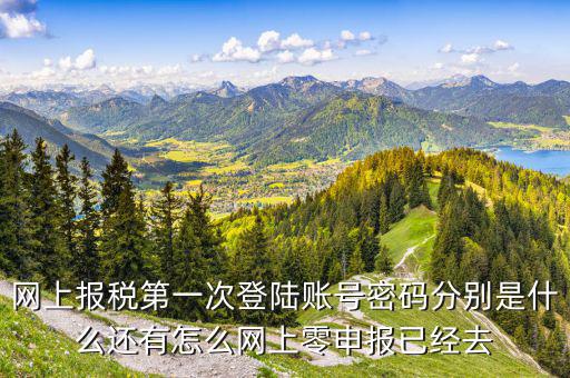 網上報稅第一次登陸賬號密碼分別是什么還有怎么網上零申報已經去