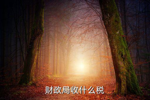 財政局征收什么稅，現行由財政機關征收的稅收有哪些拜托各位大神