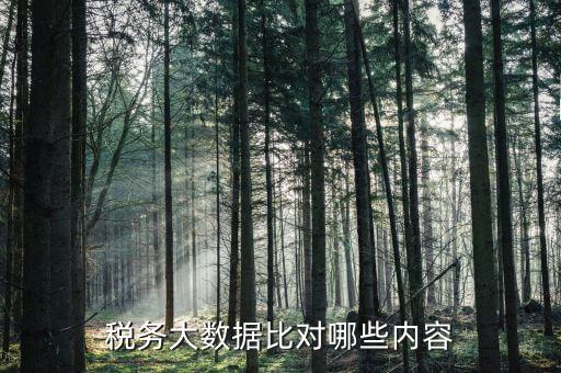 大數(shù)據(jù)稅務(wù)局需要過(guò)濾什么數(shù)據(jù)，稅務(wù)大數(shù)據(jù)是什么意思