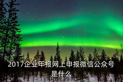 企業(yè)申報(bào)客戶端是什么意思，2017企業(yè)年報(bào)網(wǎng)上申報(bào)微信公眾號(hào)是什么