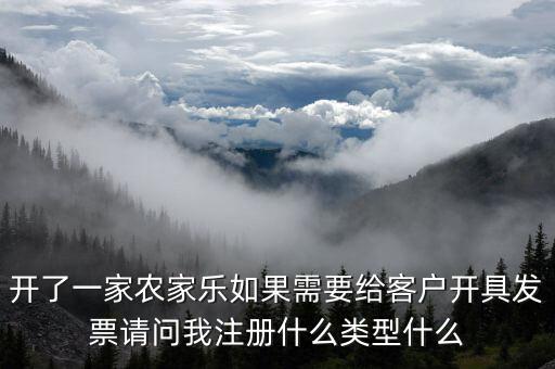 我要是以開普票為主 注冊什么性質的公司好，開了一家農家樂如果需要給客戶開具發票請問我注冊什么類型什么