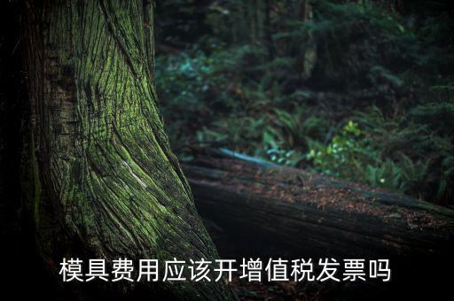 模具設計開發費開什么發票，模具開發及制造費一般開什么發票明細