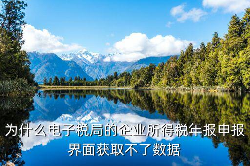 為什么電子稅局的企業所得稅年報申報界面獲取不了數據