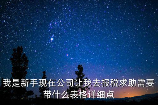 我是新手現在公司讓我去報稅求助需要帶什么表格詳細點