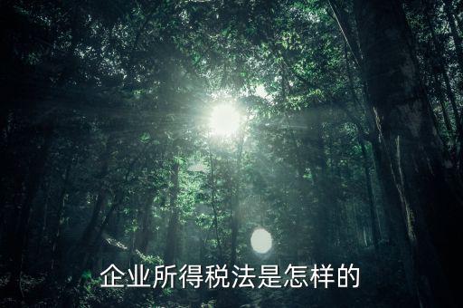 什么是企業所得稅法，企業所得稅法是怎樣的