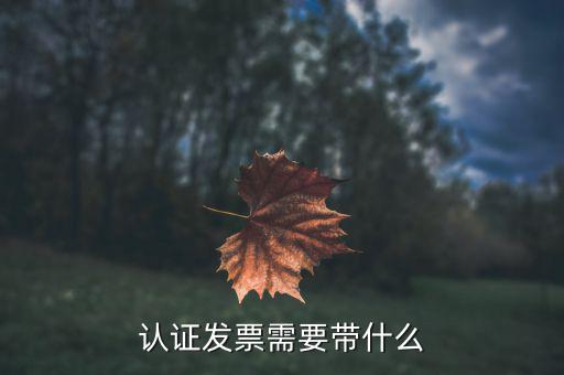 認證發票需要帶什么