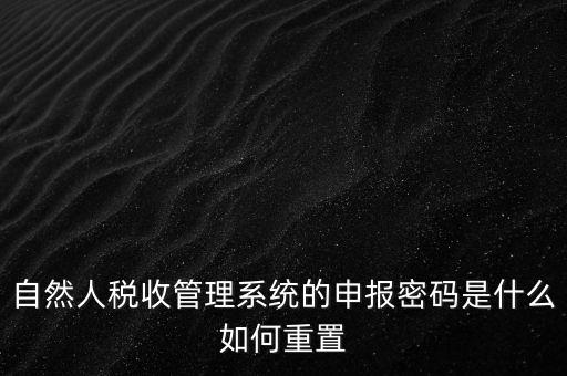 自然人稅收管理系統的申報密碼是什么如何重置
