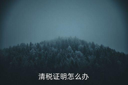 稅務無紙化辦公要什么材料，清稅證明怎么辦