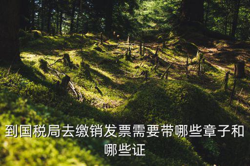 繳銷出口商品統一發票要蓋什么章，到國稅局去繳銷發票需要帶哪些章子和哪些證