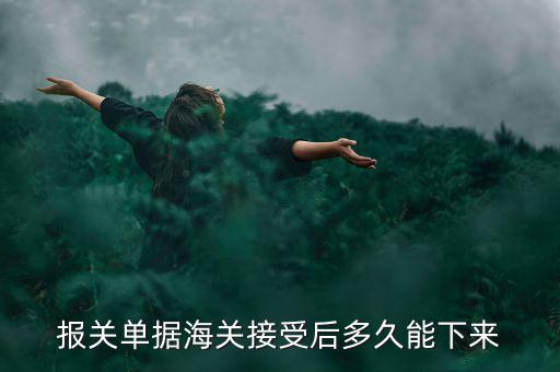 報關單據海關接受后多久能下來
