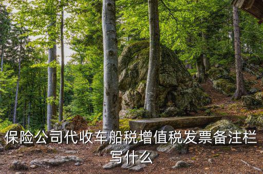 保險公司代開車船稅備注注什么，請問一下發票備注欄能夠寫什么
