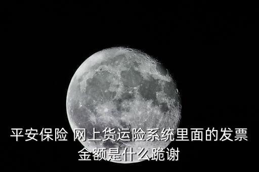 平安保險 網上貨運險系統里面的發票金額是什么跪謝