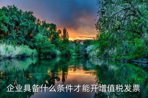 什么企業增值稅發票，企業具備什么條件才能開增值稅發票