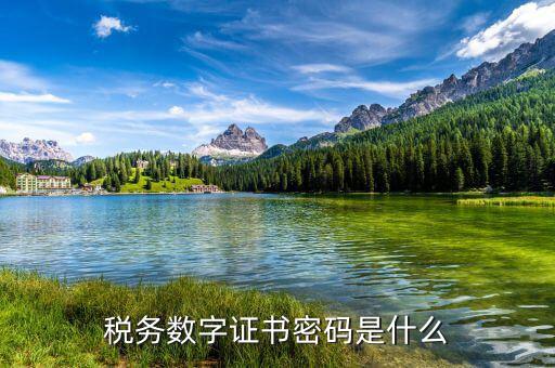 稅務(wù)數(shù)字證書(shū)密碼是什么