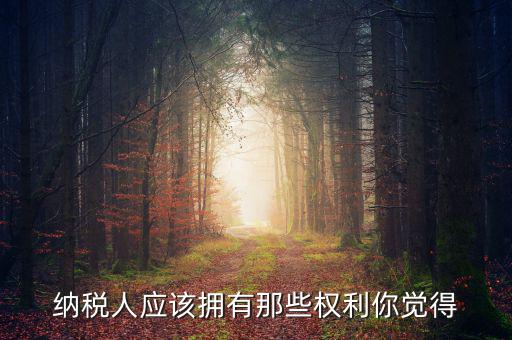 納稅人的權益有什么，納稅人應該擁有那些權利你覺得