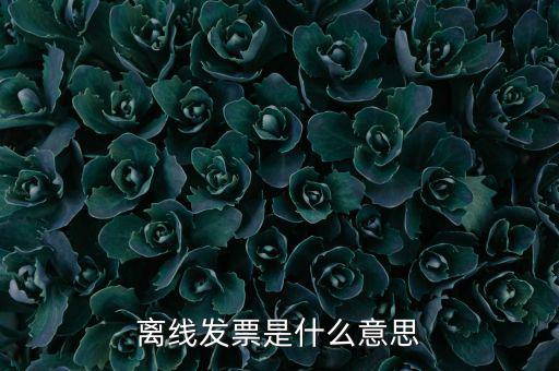 離線開票什么意思，離線發票是什么意思