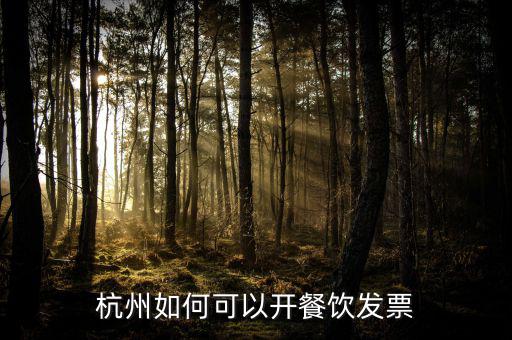 杭州如何可以開餐飲發票