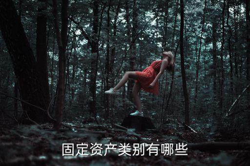 固定資產類別有哪些
