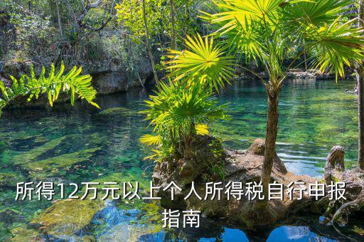 12萬元申報用什么申報表，個人獨資企業在申報年收入12萬以上時怎么填寫