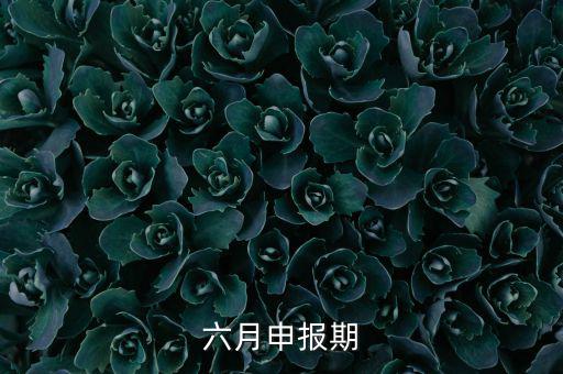 6月申報(bào)期是什么意思，個(gè)人所得稅申報(bào)期是每月15號嗎