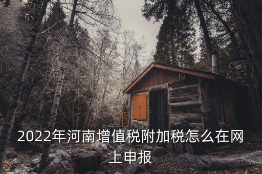 附加稅在什么網站申報，2022年河南增值稅附加稅怎么在網上申報