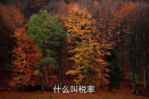 什么叫增值稅稅率，增值稅普通發票的稅率是什么意思