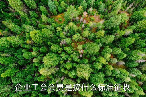 企業工會會費是按什么標準征收