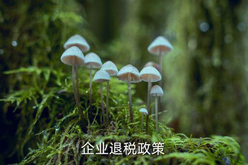 什么是企業所得稅退稅，企業所得稅可以退稅嗎