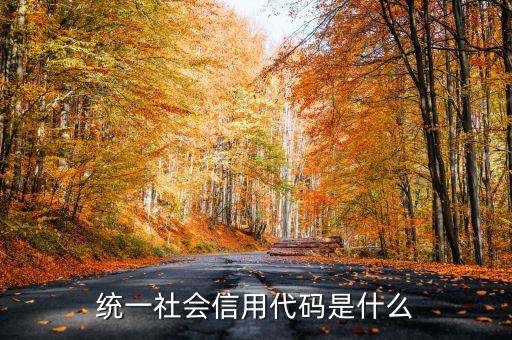 統一社會信用代碼是什么