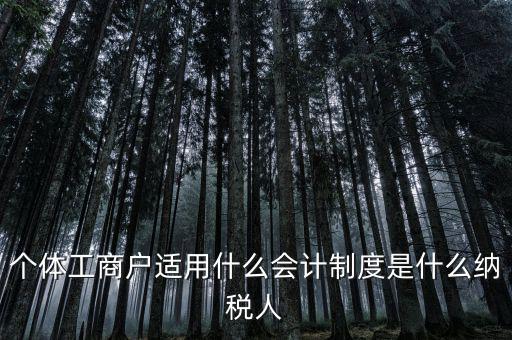 個體戶屬于什么納稅人，從事縫紉業務的個體戶屬于哪一類納稅人