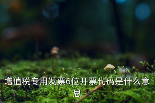 增值稅專用發票6位開票代碼是什么意思