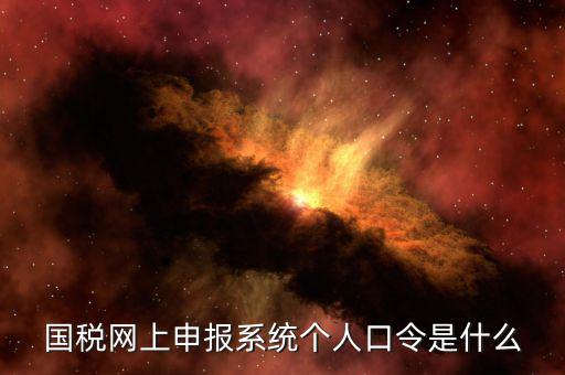 國稅證書口令是什么意思，網上申報國稅系統登陸的口令是什么