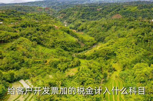 給客戶開發票加的稅金計入什么科目
