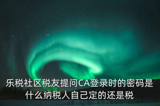 樂稅社區稅友提問CA登錄時的密碼是什么納稅人自己定的還是稅