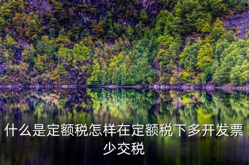 什么是定額稅怎樣在定額稅下多開發票少交稅