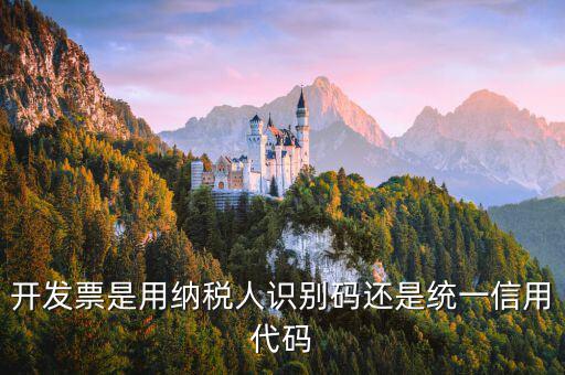 發票上的信用代碼是什么，現在開發票要的社會信用代碼是誰的代碼
