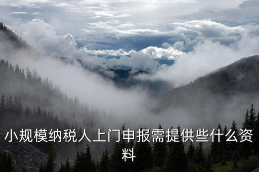 小規模納稅人上門申報需提供些什么資料