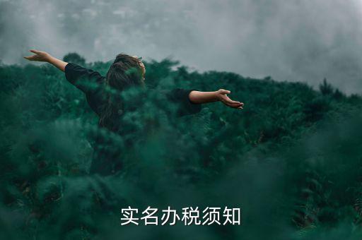 實名制什么叫辦稅人，稅務局怎么實名制辦稅員